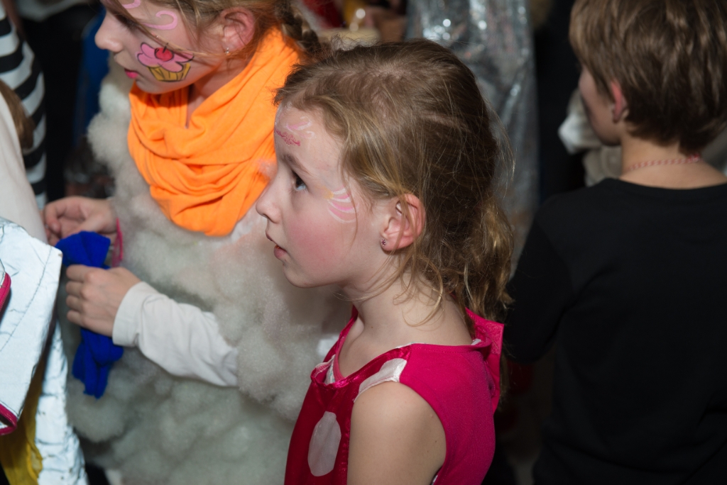 Carnaval zaterdag-963.jpg